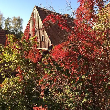 Idyllische Ferienwohnung In An Der Mulde Apartamento